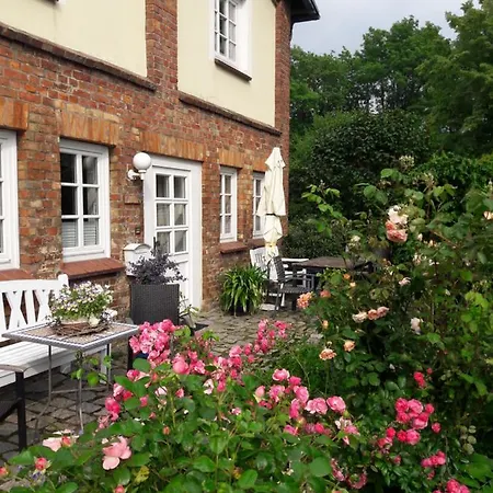 Lavendel Steffenshagen