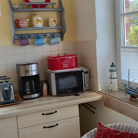 Lavendel * Steffenshagen