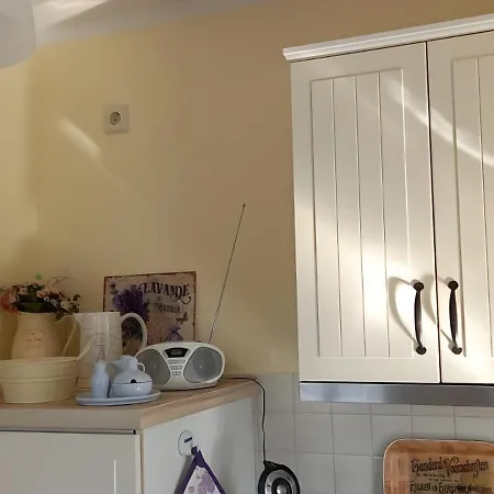 Lavendel Steffenshagen