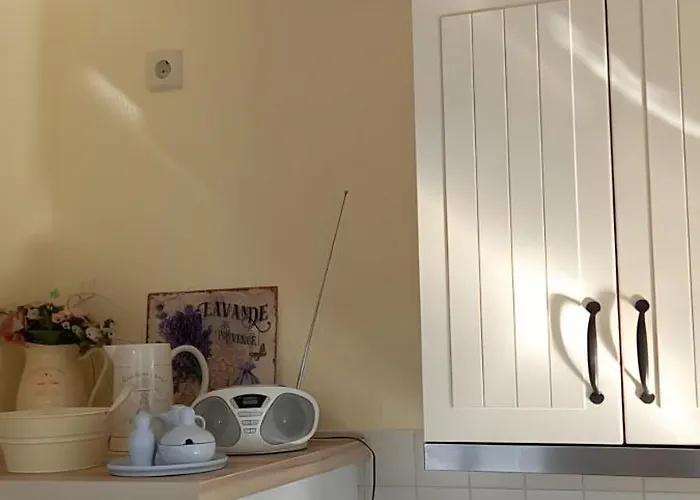 Lavendel Steffenshagen